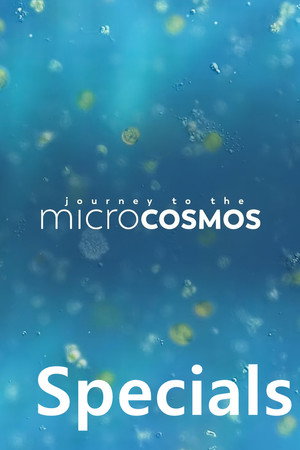Journey to the Microcosmos Speciális epizódok (2019-09-05) poszter
