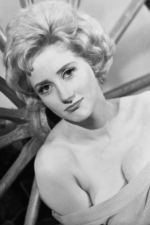 Liz Fraser profil kép
