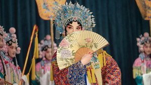 鬓边不是海棠红 kép