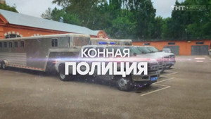 Конная полиция 1. évad Ep.12 12. epizód