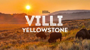 Vad Yellowstone kép