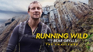Bear Grylls - Sztárok a vadonban: A kihívás kép