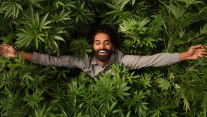 Weediquette kép