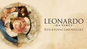 Leonardo da Vinci kép