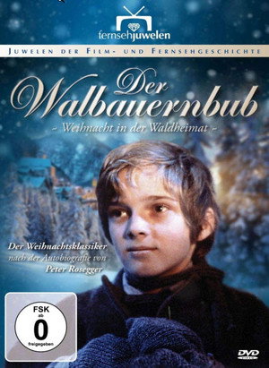 Waldheimat 3. évad (1983-12-23) poszter