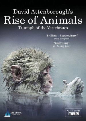 Az állatvilág története David Attenborough-val poszter