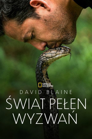 Ezt ne próbáld ki! - Halálos mutatványok David Blaine-nel poszter