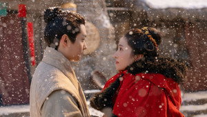 锦囊妙录 kép