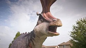 Dino Dex 1. évad Ep.6 6. epizód