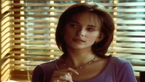 Picket Fences 3. évad Ep.16 16. epizód