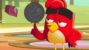 Angry Birds: Nyári őrület 1. évad Ep.1 Kabinrazzia