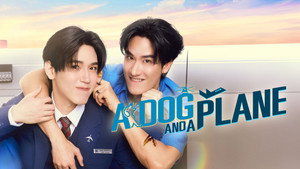 หมาเห่าเครื่องบิน kép