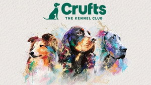 Crufts kép