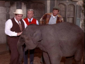 Green Acres 6. évad Ep.2 2. epizód