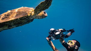 Átalakulóban a mediterrán élővilág kép