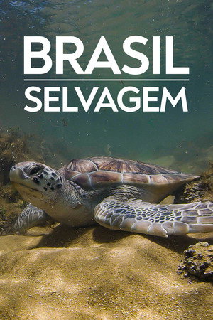Szelidítetlen Brazília 3. évad (2020-04-22) poszter