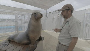 Taronga: Who's Who in the Zoo 4. évad Ep.7 7. epizód