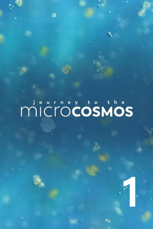 Journey to the Microcosmos 1. évad (2019-06-24) poszter
