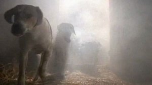 Are You Afraid of the Dark? 1. évad Ep.5 5. epizód