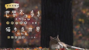 岩合光昭の世界ネコ歩き Speciális epizódok Ep.7 7. epizód