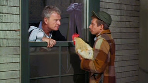 Green Acres 1. évad Ep.7 7. epizód