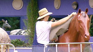 Big Brother 3. évad Ep.78 78. epizód