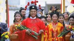 醉打金枝 kép