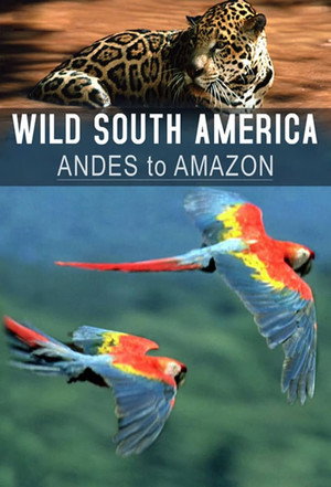 Andes to Amazon poszter