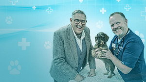 The Dog Hospital with Graeme Hall kép