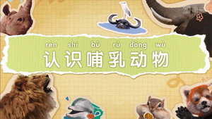 斑马百科 9. évad Ep.1 1. epizód