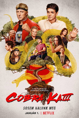 Cobra Kai 3. évad (2021-01-01) poszter