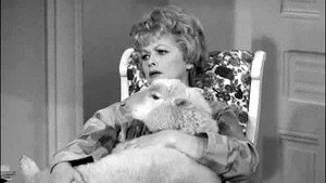 The Lucy Show 1. évad Ep.5 5. epizód