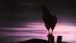 Green Acres 1. évad Ep.5 5. epizód