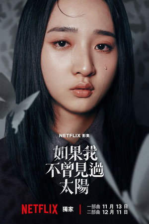 如果我不曾見過太陽 poszter