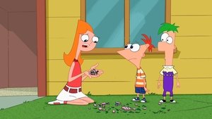 Phineas és Ferb 3. évad Ep.10 10. epizód