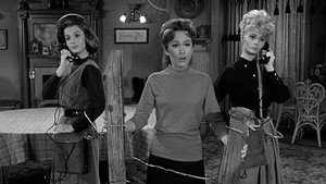 Petticoat Junction 2. évad Ep.17 17. epizód