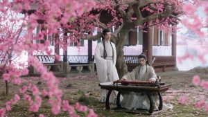 水龙吟 kép