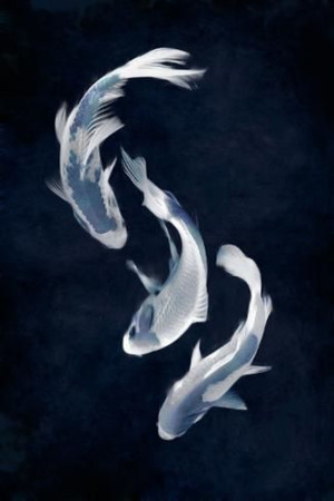 Fuufu Ijou, Koibito Miman poszter
