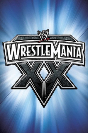 WWE Pay Per View 20. évad (2004-01-25) poszter