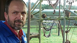 Monkey Business 6. évad Ep.14 14. epizód