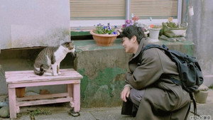 旅と僕と猫 1. évad Ep.3 3. epizód