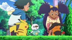 Pokémon 14. évad Ep.4 4. epizód