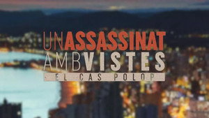 Un assassinat amb vistes kép