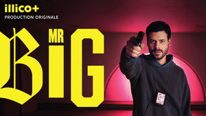 Mr Big kép
