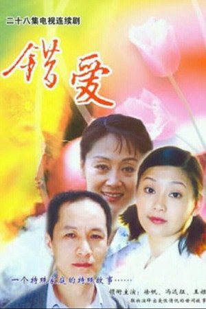 错爱 1. évad (2006-06-06) poszter