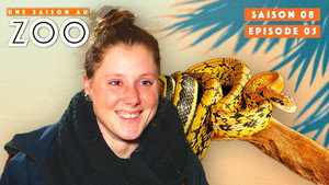 Une saison au zoo 8. évad Ep.5 5. epizód