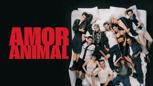 Amor animal kép