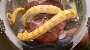 I'm a Celebrity...Get Me Out of Here! 25. évad Ep.22 22. epizód