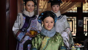 甄嬛传 kép