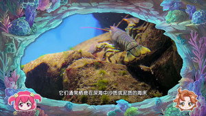 巴啦啦小魔仙魔法海洋馆 1. évad Ep.23 23. epizód